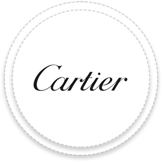 Cartier, Capytech enterprise e-learning client